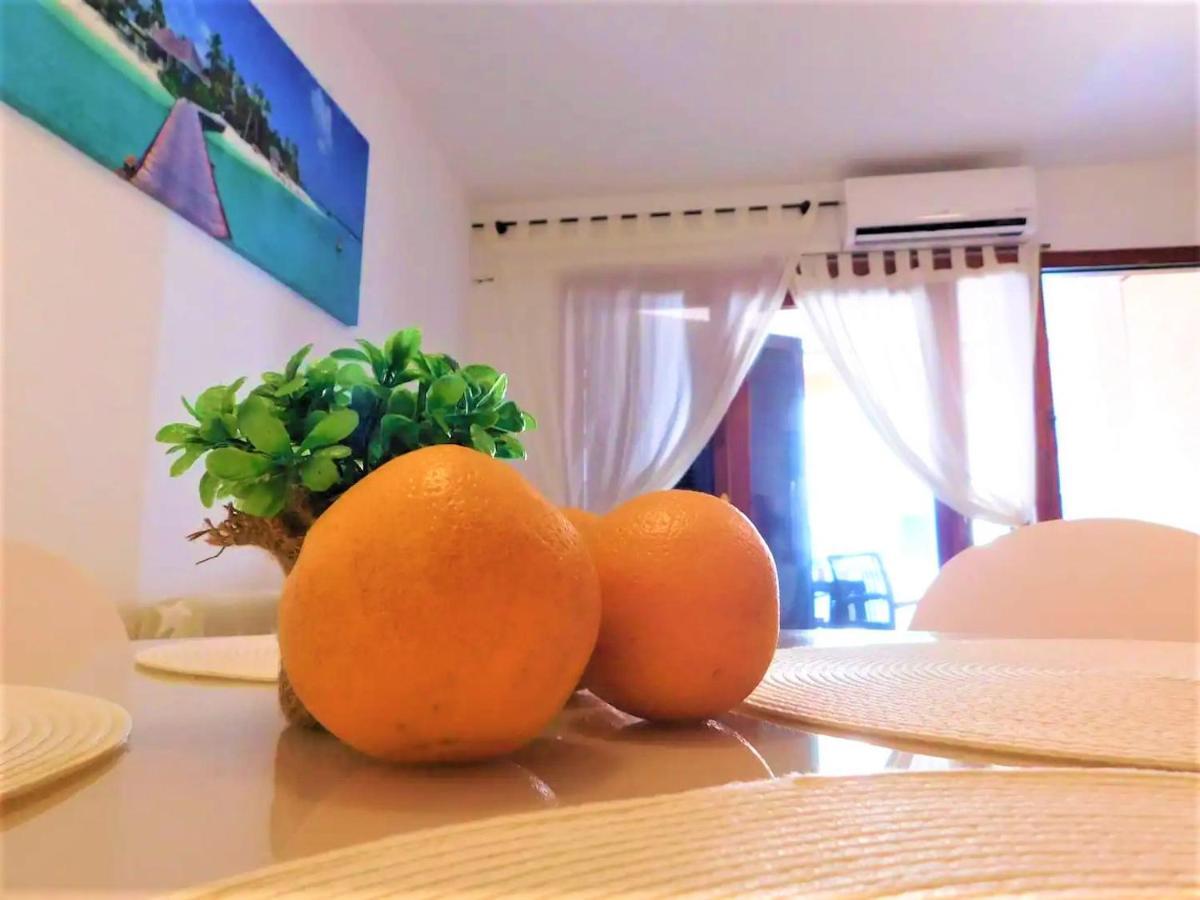 Tropical Playa Z Widokiem Na Morze, 400 M Do Plazy La Mata Beach 또레비에하 외부 사진